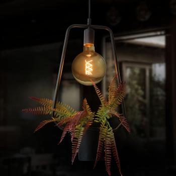 Preview: LX Plant Budget